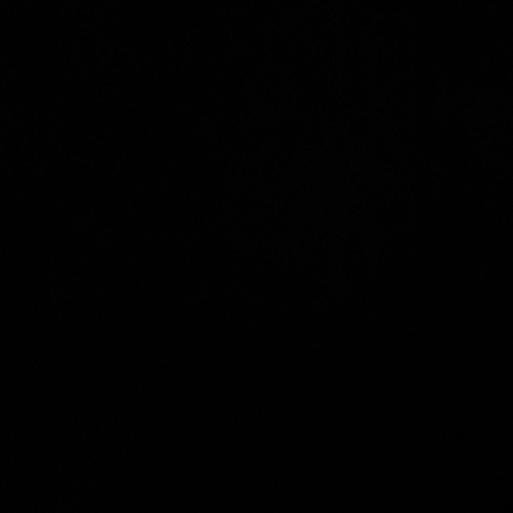 MISC